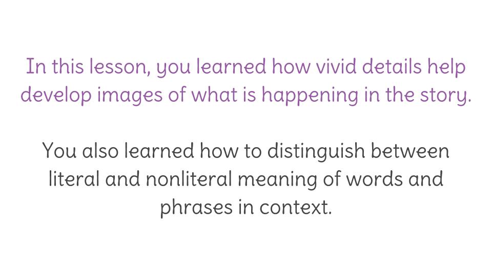 Meaning vivid What does